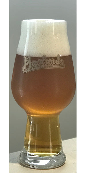 Baylands Glass - IPA